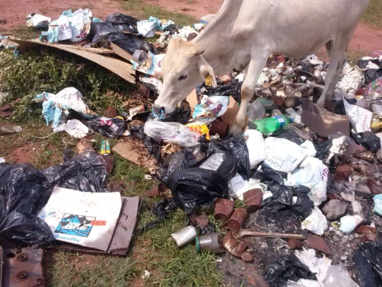 Illegal dumping at Buhleni Town Centre a health ticking time bomb