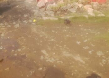 Lack of hygiene at informal settlement cause for concern