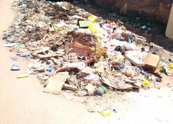 Former Minister urges Bulawayo citizens to keep the city clean