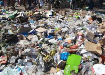 Avail more bins, Bulawayo City Council urged as illegal dumpsites mushroom