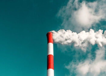 Training workshop on climate change and environment in Sophia Town