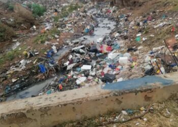 Water crisis for livestock in Tembisa